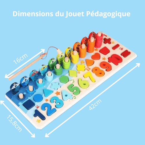 JOUET ÉDUCATIF EN BOIS, PÉDAGOGIE MONTESSORI